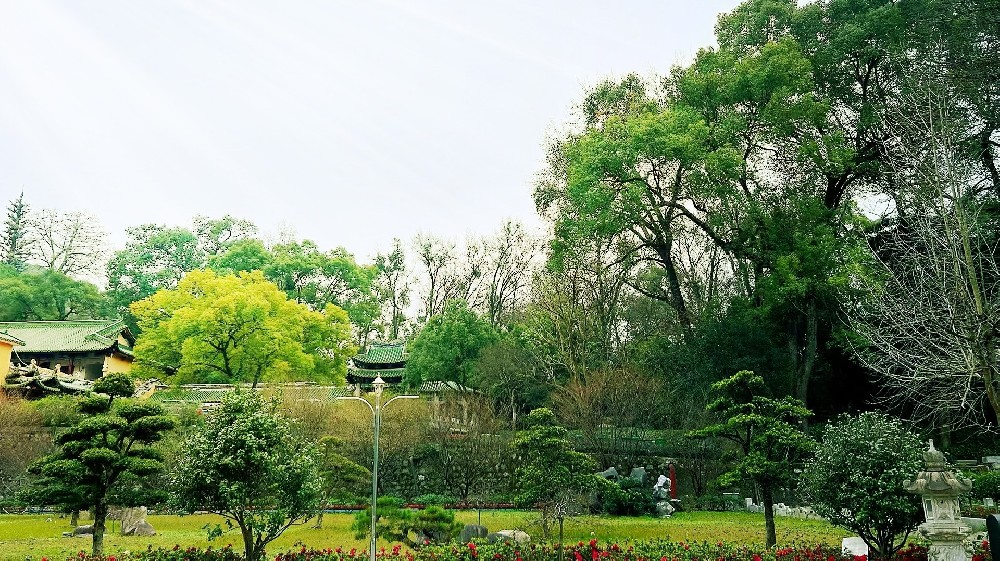 阿米巴经营——支撑阿米巴经营的经营管理部门