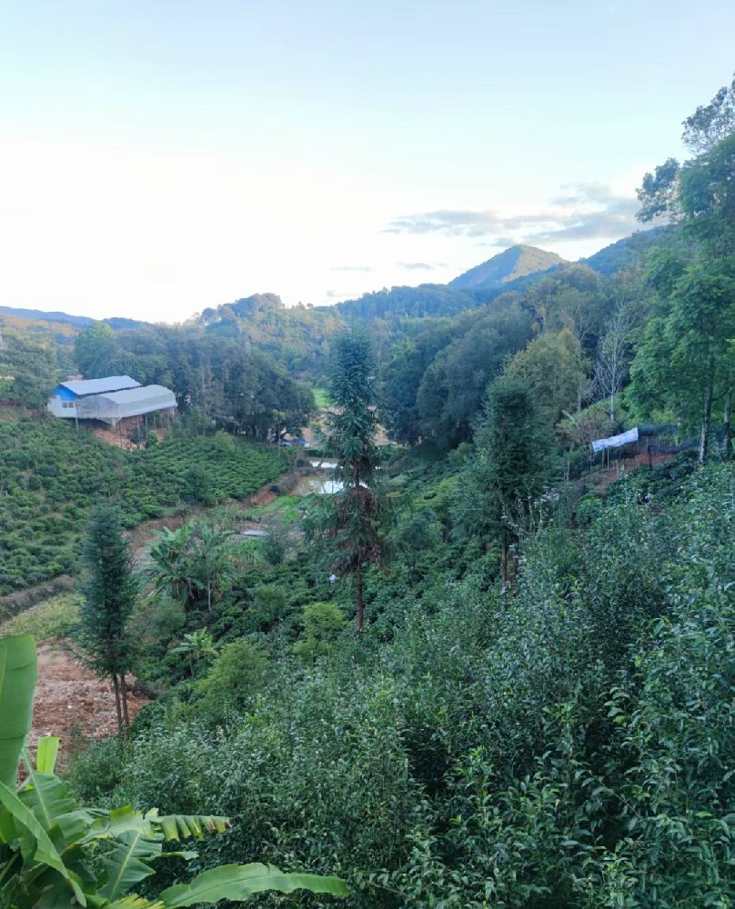 曾国藩：刚柔并济——做稳做强